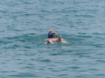 FZ007743 Jenni snorkling.jpg